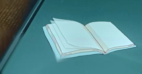 The book is being flipped through, presentation Stock Footage 313292671