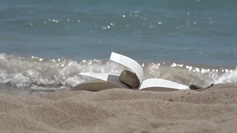 Book blowing in the wind on a summer beach. Footage Stock Footage 171884223