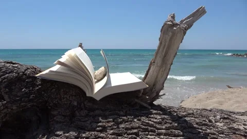 Book blowing in the wind on a summer beach, on a tree trunk. Footage Stock Footage 171884241
