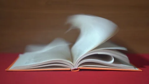 Book browse the pages with the wind Stock Footage 120314885