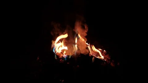 The book is burning in the fire Stock Footage 81629690