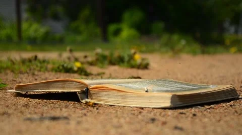 Book burning on the ground. Book doused with gasoline and burned Stock Footage 50523330