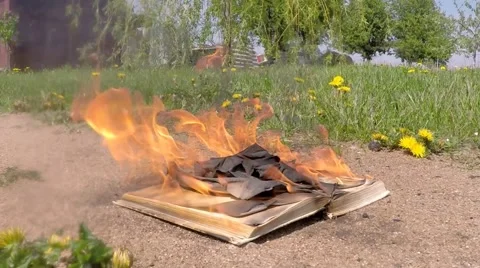 Book burning on the ground.. Time-lapse Stock-Footage 50523094