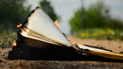 Book burning on the ground. The wind leafs through the book page Stock Footage 50523492