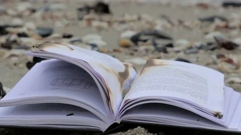 Book burning, timelapse Video stock 72557164