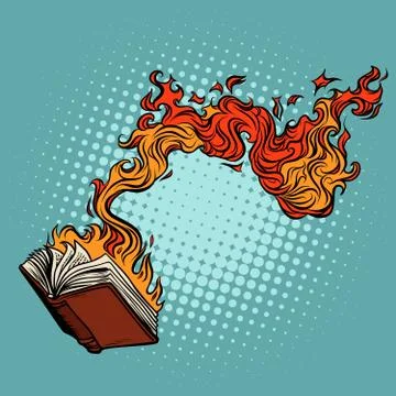 The book burns. destruction of knowledge and culture Stock Illustration