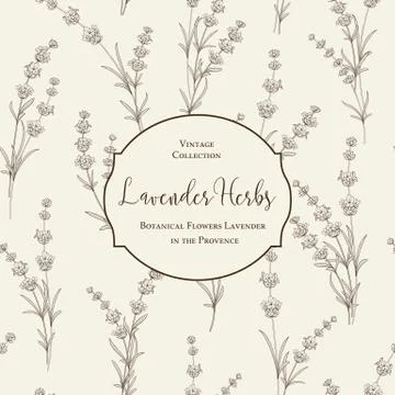 The book cover design. Stock Illustration