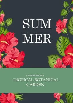 The book cover Stock Illustration