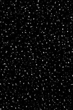 A book cover template with white randomly scattered specks on a black backg.. Illustrazione stock