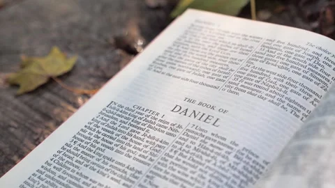 The book of Daniel, chapter of Holy Bible book Stock Footage 300939702