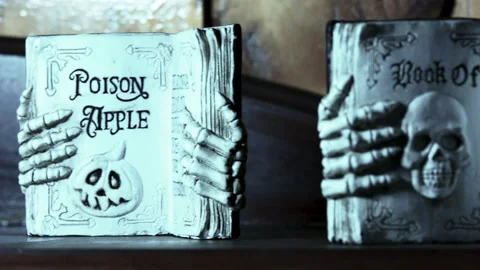 Book of the dead Halloween statue. Stock Footage 287273380