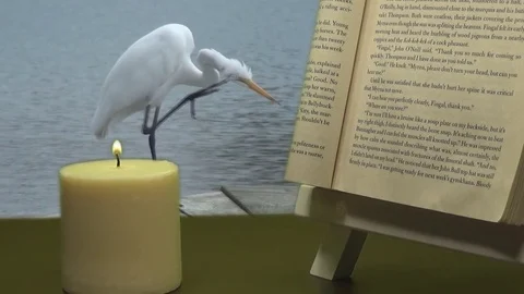 Book on easel with candle in the foreground Stockbeeldmateriaal 78589310