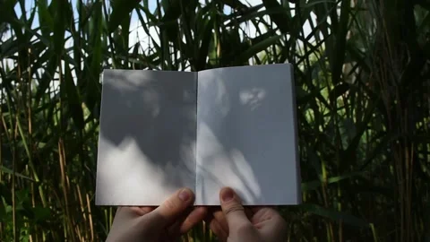 Book with empty blank pages without text  Stock Footage 171623054