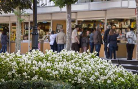 Book fair Stock Photos