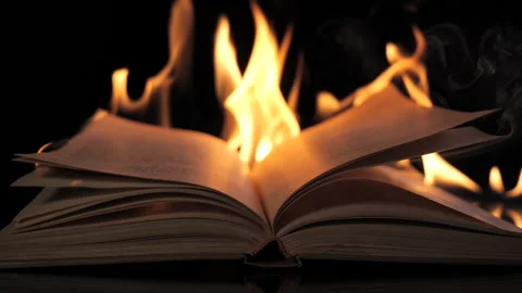 The book is on fire Stock Footage 166317041
