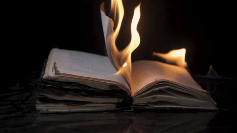 The book is on fire Stock Footage 170138528