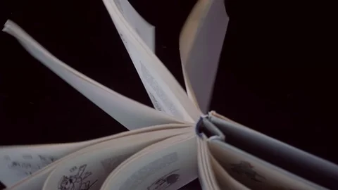The book flies, rotate on a black background and the pages evolve in the air Video stock 82720763