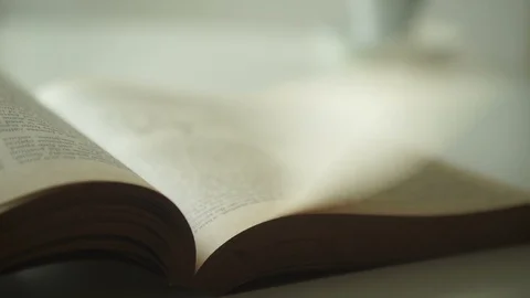 Book flipping in the wind Stock Footage 119247249