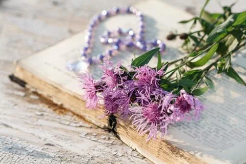 Book with flower Stock Photos