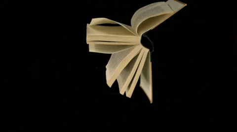 Book flying, Slow Motion Stock Footage 11142904
