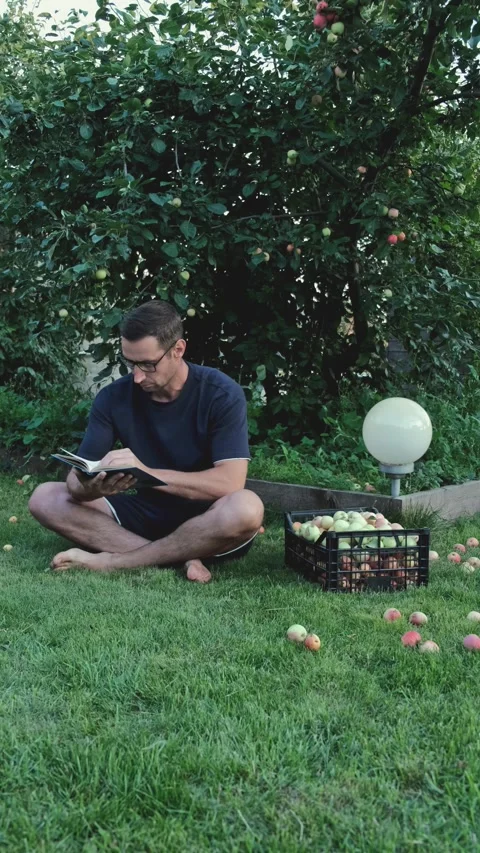 Book Stock Footage 246688615