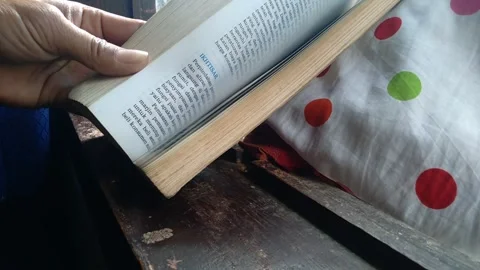 The book Stock Footage 259262101