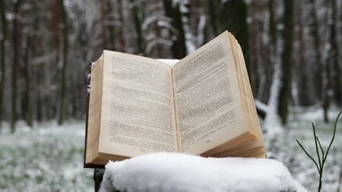 Book in the forest under the snow Stock Footage 263917554