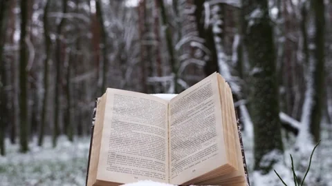 Book in the forest under the snow Stock Footage 263918026