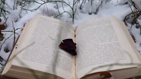 Book in the forest under the snow Video stock 263918027