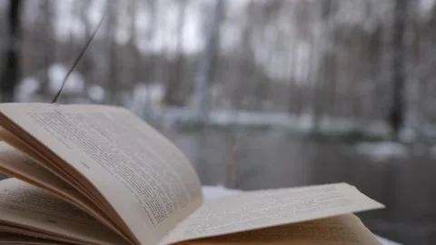 Book in the forest under the snow Stock Footage 263979195