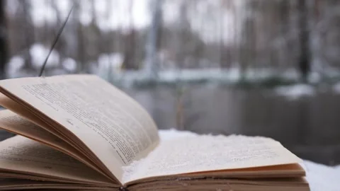 Book in the forest under the snow Stock Footage 263979200