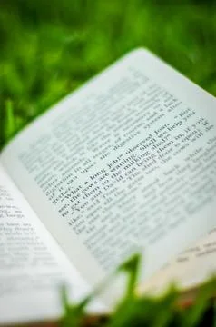 Book on the grass 스톡 사진