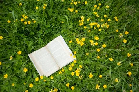 Book in the grass Stock Photos
