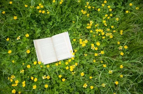 Book in the grass Stock Photos