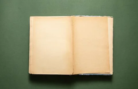 Book on the green background. Stock Photos