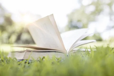 Book on green grass, learning and knowledge concept Fotos de archivo