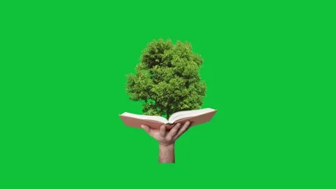 Book Growing Into Tree Green Screen Animation Stock Footage 335752055