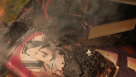 Book with a Hitler burning in a bonfire Stock Footage 79998793