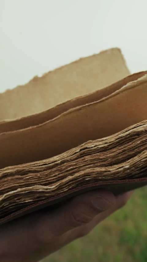 Book With Holy Scriptures Read By A Man In A Foggy Winter Park Stock Footage 315950485