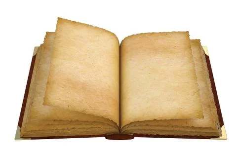 Book Illustrazione stock