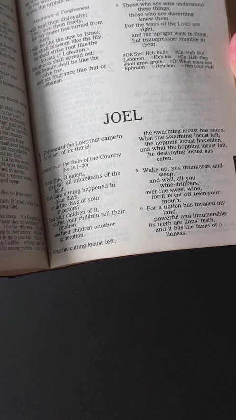 Book of Joel of the Old Testament in the Holy Bible. Stock Footage 340609274