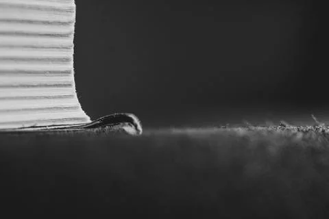 The book is large Photos