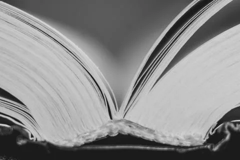 The book is large Stock Photos