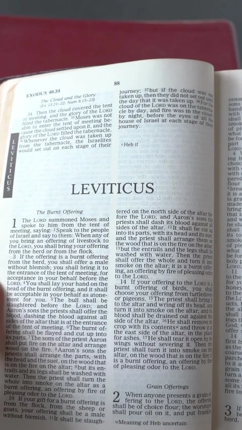 Book of Leviticus of the Old Testament, Holy Bible. Stock Footage 337807787