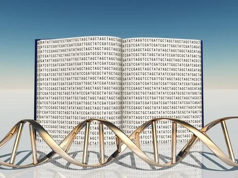 Book of Life Book with Gentic Code and Strand of DNA Copyright: xZoonar.co... 库存照片