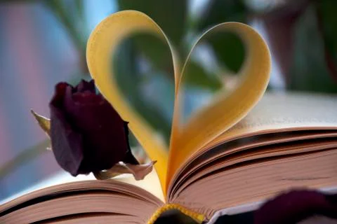 Book love Foto stock