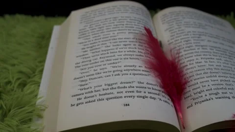 Book with lovely red feather Stock Footage 166805271