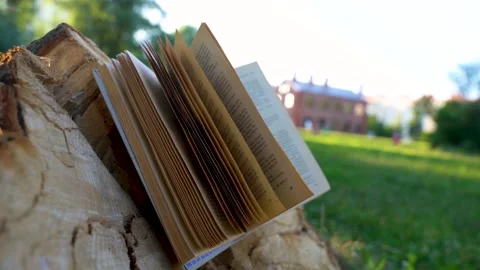 A book is lying on a stump in a summer park and the wind turns the pages Stock Footage 156762469