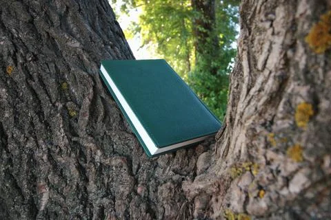 Book lying on the tree Stock Photos
