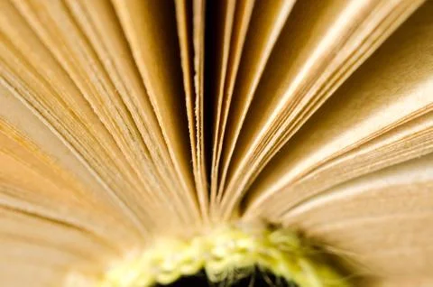 Book macro Stock Photos